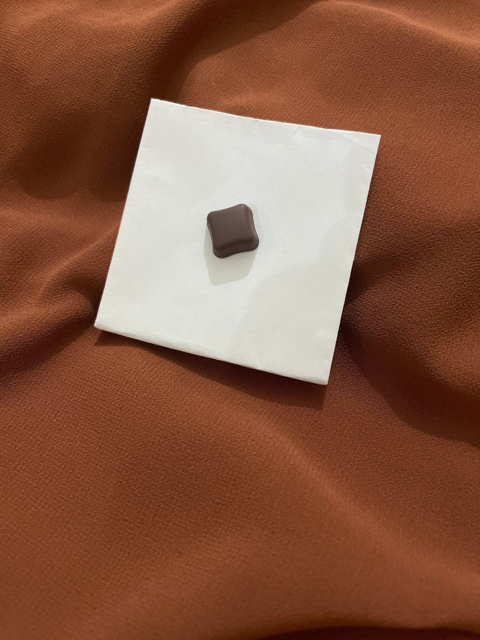 Magnets Brown- 1 Pair